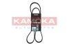 PASEK MICRO-V 5 PK 1360 KAMOKA 7015064 (фото 1)