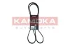 PASEK MICRO-V 5 PK 1720 7015077