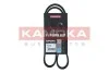 Ремiнь клиновий 6PK970 7016026
