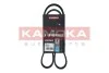 Ремiнь клиновий 6PK1025 7016037