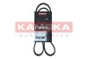 PASEK MICRO-V 6 PK 1033 KAMOKA 7016041 (фото 1)