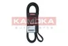 Ремiнь клиновий 6PK1817 7016163