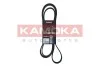 PASEK MICRO-V 6 PK 2155 7016207