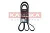 Ремiнь клиновий 6PK2563 7016241