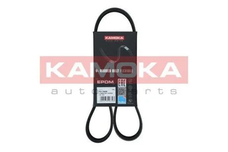 Автозапчасть KAMOKA 7017002