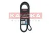 Ремiнь клиновий 7PK1666 7017021