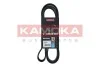 PASEK MICRO-V 8 PK 1715 7018005