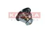 Термостат KAMOKA 7710065 (фото 4)