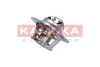 Термостат OPEL MOVANO 98-/ RENAULT MASTER II 98-/ MEGANE III 08- 7710076