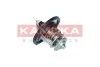 Термостат KAMOKA 7710098 (фото 4)