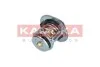 TERMOSTAT WKLAD KAMOKA 7710113 (фото 2)
