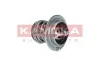 TERMOSTAT WKLAD KAMOKA 7710113 (фото 3)