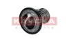 Термостат KAMOKA 7710162 (фото 3)
