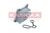Радіатор масляний VW Caddy III 1.2TSI 10-15 (теплообмінник) 7730022