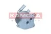 Радiатор масляний KAMOKA 7730133 (фото 3)