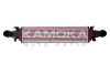 Charge Air Cooler KAMOKA 7750026 (фото 1)