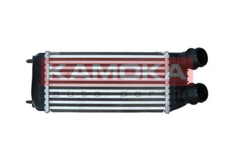 Charge Air Cooler KAMOKA 7750069