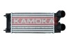 Charge Air Cooler 7750071