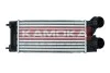 Charge Air Cooler 7750071