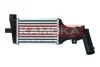 Charge Air Cooler 7750109