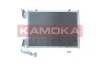 SKRAPLACZ KLIMATYZACJI 7800086