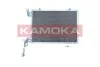 SKRAPLACZ KLIMATYZACJI 7800087