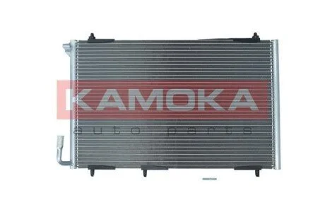 SKRAPLACZ KLIMATYZACJI KAMOKA 7800156