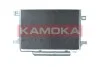 Радіатор кондиціонера MB A-class (W169)/B-class (W245) 1.5-2.0LPG 04-12 7800220