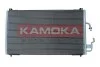 SKRAPLACZ KLIMATYZACJI 7800234