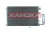 SKRAPLACZ KLIMATYZACJI 7800249