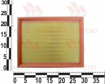 Фiльтр повiтряний KAMOKA F221101