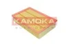 Автозапчастина KAMOKA F247801 (фото 2)