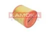 Фiльтр повiтряний F253301