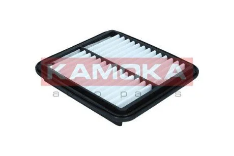 Автозапчастина KAMOKA F254601