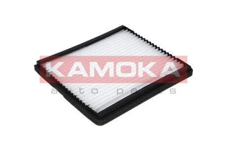 Фільтр, повітря салону KAMOKA F405301