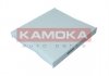 Фільтр повітря салону KAMOKA F419501 (фото 1)