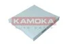 Фільтр повітря салону KAMOKA F419501 (фото 1)