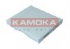 Фільтр повітря салону KAMOKA F420801 (фото 1)