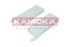 Фiльтр салону 2шт KAMOKA F421301 (фото 1)