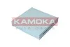 Фiльтр салону KAMOKA F423801 (фото 1)