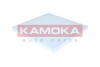 FILTR KABINOWY KAMOKA F424901 (фото 2)