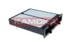 FILTR KABINOWY KAMOKA F425301 (фото 1)