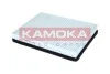 FILTR KABINOWY F427601