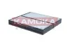 FILTR KABINOWY F429301