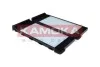FILTR KABINOWY KAMOKA F429401 (фото 3)
