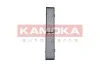 Фiльтр салону вугiльний KAMOKA F505901 (фото 1)