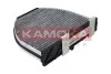 Фiльтр салону вугiльний F508001