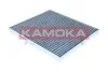 FILTR KABINOWY  WEGLOWY F523601
