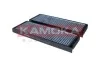 FILTR KABINOWY WEGLOWY KAMOKA F526001 (фото 1)