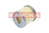 Фiльтр паливний на зрiджений газ KAMOKA F702201 (фото 1)